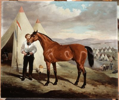 Sir Briggs, Horse of Lord Tredegar of the 17th Lancers, in Camp in Crimea by Alfred de Prades